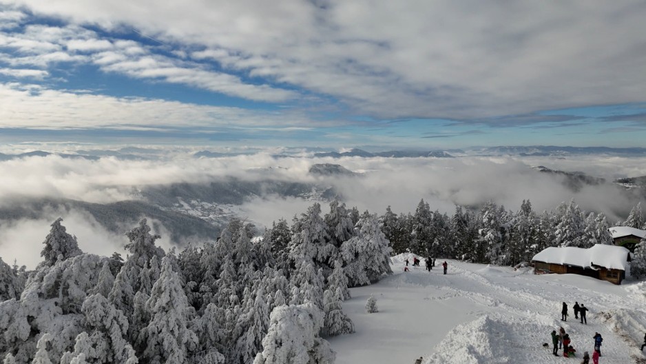 Ima posla ko hoće da radi - na Zlatiboru najveća potražnja za kuvarima, konobarima i pomoćnim osobljem: Sezona na srpskoj planini sada traje skoro 12 meseci u godini