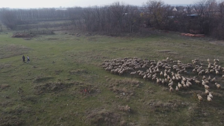 Brat i sestra rame uz rame rade na velikoj farmi: Željana (16) i Teodor (18) ustaju ranom zorom i sve postižu, ne beže od posla i ponos su svojih roditelja