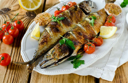 Da li post sme da se prekine i može li se nastaviti? Ako ste u iskušenju, ovo morate da znate