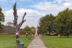 DA LI JE DRVO MISTERIOZNO NAJAVILO SMRT OBRENOVIĆA: Grane pucale pre nego vladar umre ili ga ubiju! OVAKO SU POKUŠALI TO DA SPREČE