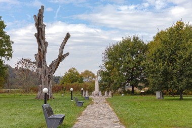 DA LI JE DRVO MISTERIOZNO NAJAVILO SMRT OBRENOVIĆA: Grane pucale pre nego vladar umre ili ga ubiju! OVAKO SU POKUŠALI TO DA SPREČE