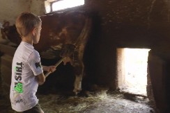 Bogdan sa dedom radi poslove na imanju - njegove ruke su male, ali spremne da pomognu: On je ponos svojih roditelja