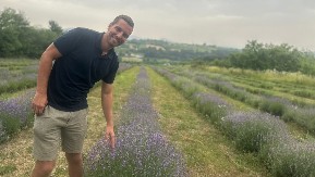 Bojan umesto šljiva i kajsija odlučio da gaji lavandu i od nje pravi nesvakidašnji liker: Prelepo imanje u selu Milićevci dokazuje - dobre ideje uvek dobro prolaze