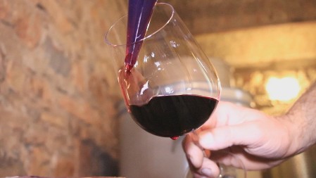 TAJNA VINA OD DRENA KOJE LEČI STOMAK I KAKO SE NEGUJE "DRENOVO DRVO": Zaboravljeni srpski eliksir!