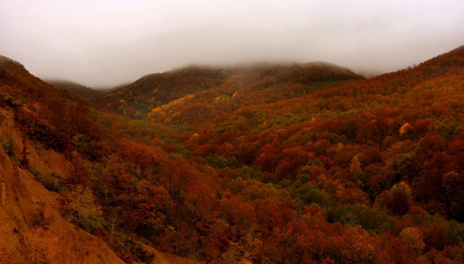 U SRBIJI JE BILO ZABRANJENO ZVATI IH GLASNO: Tajna o vilama sa Radan planine i zašto su se plašile metala i soli