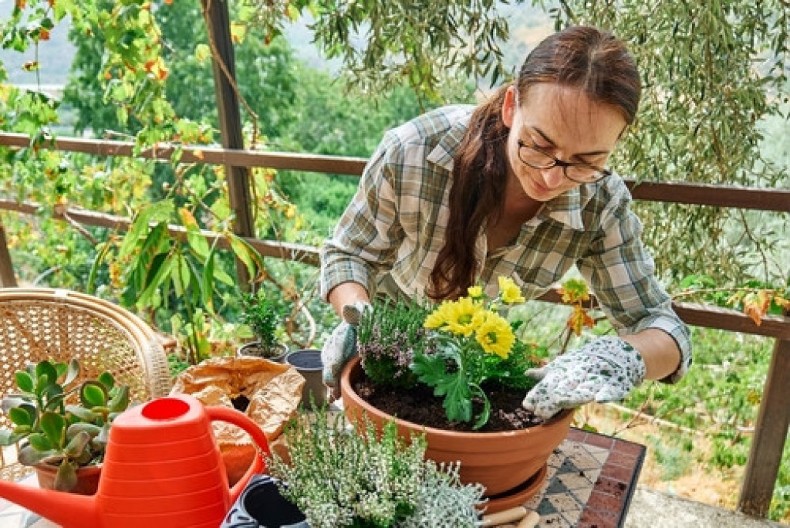 Ovaj trik spašava vaše cveće od mraza! Ne košta ni dinara, a biljke će vam večno zahvaljivati