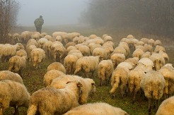 Naši stari su verovali da vetar ima duhovnu funkciju: Ovako su mu pevali, a razlog će vas iznenaditi
