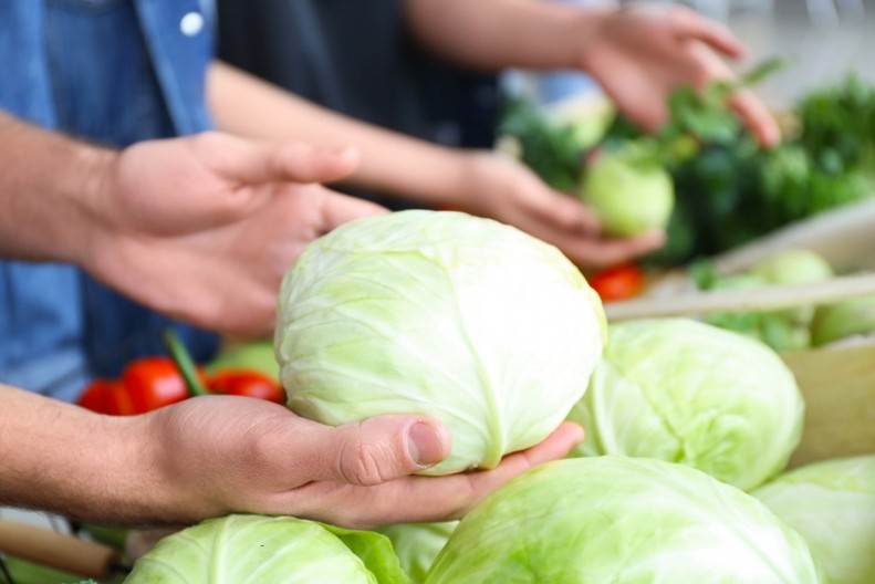 Futoški, zlatno jutro, srpski melez: Znate li koja sorta kupusa (ni)je dobra za zimnicu?