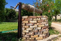 Voda iz gvozdenog bunara: Srpski eliksir iz sela Izvor koji se verovalo da leči krv i vraća snagu