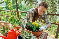 3 vrste cveća koje se sadi u jesen, prežimi i najveći minus, a u proleće vas dočeka bašta kao iz raja