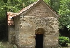 Lekovita voda Mojsinjske gore: U srpskom Svetom gaju mnogi bolesni ozdrave! (VIDEO)