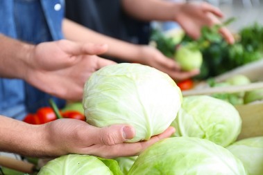 Recept starih domaćica iz Futoga za kiseljenje kupusa: Ovako će vam zimnica trajati dugo, a postoji i caka sa solju