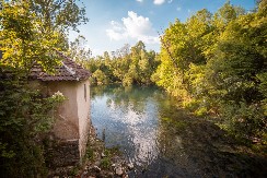 KOJA MESTA U SRBIJI NAJVIŠE POSEĆUJU STRANCI: Oduševljeni su ovim destinacijama