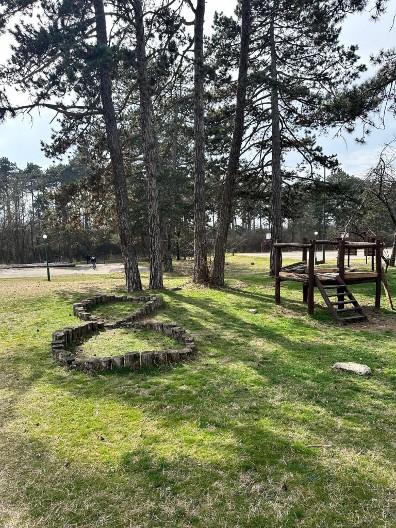 Od dina do borovih hladovina – biciklistički i pešački izazovi Deliblatskih staza