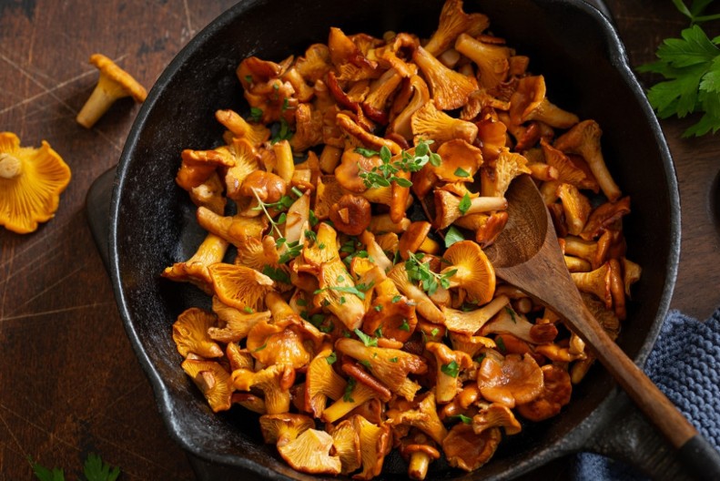 Zlatni zalogaji iz šume – stari recepti sa lisičarkama