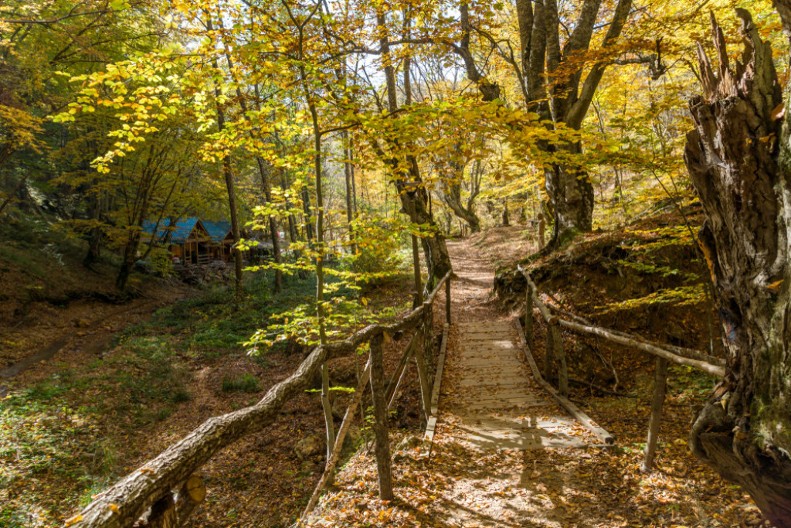 Planina tajni – Radan između stvarnosti i predanja