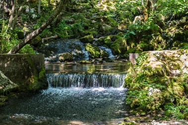 Grza – planinska lepotica i izletište koje mami svojom bistrinom