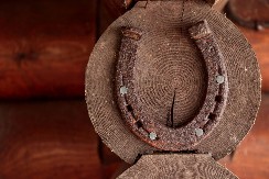 Kopito bez rane, konj bez mane-priča o potkivačima, čuvarima snage konja