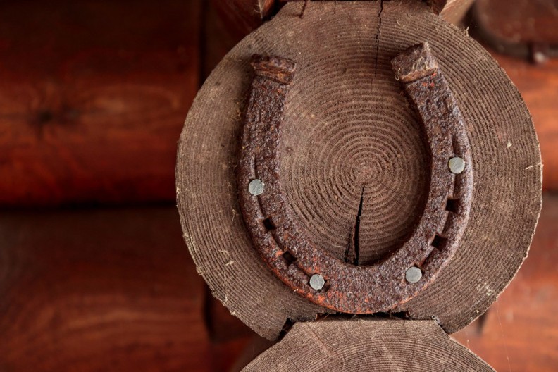 Kopito bez rane, konj bez mane-priča o potkivačima, čuvarima snage konja