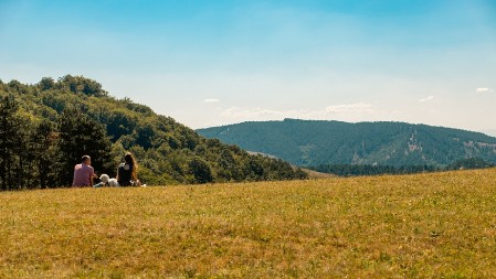 Planina Ravna Gora: prirodna apoteka i istorijski simbol Srbije