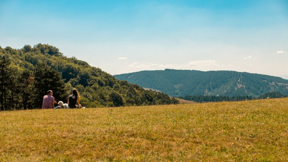 Planina Ravna Gora: prirodna apoteka i istorijski simbol Srbije