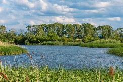 Banatska Amazona: Zašto je Ponjavica jedinstvena u Srbiji