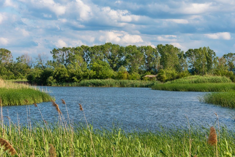 Banatska Amazona: Zašto je Ponjavica jedinstvena u Srbiji