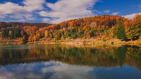 Ova planina u Srbiji je spas za oči, pluća i dušu: Neverovatnu prirodu krase šume stare 200 godina