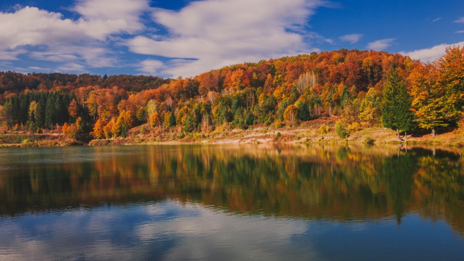 Ova planina u Srbiji je spas za oči, pluća i dušu: Neverovatnu prirodu krase šume stare 200 godina