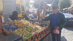 HIT U SRPSKOJ TOSKANI: Za kilogram grožđa u Topoli traže 200 dinara, ali se razgrabilo za par sati! Ovoliko košta najskuplje vino (FOTO)