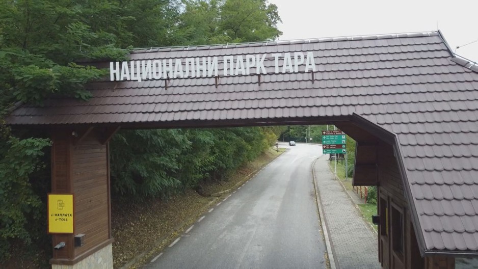 ODLUKA KOJA ĆE OBRADOVATI LOKALCE: Ulaz u NACIONALNI PARK TARA BESPLATAN za vozila sa BB i UE tablicama!