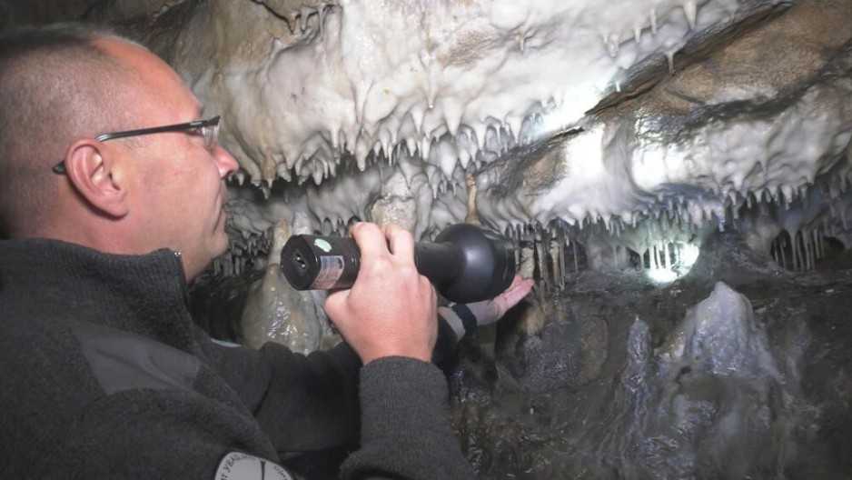 Kristalni zidovi i dvorana senki su skriveni duboko u utrobi zemlje: Ova pećina je jedna od najlepših u Srbiji